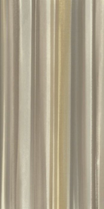 PICTURA6 12 RM 60x120